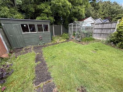 Picture 21
